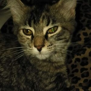 Meet your Posher, Jamie